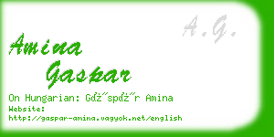 amina gaspar business card
